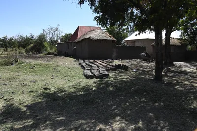 DSC_2765 (Large).JPG